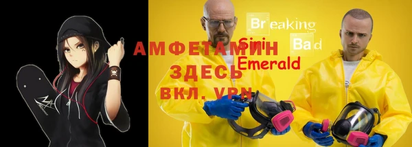 крисы Володарск