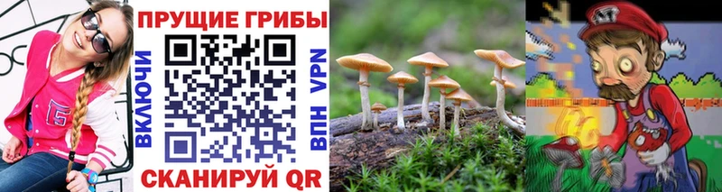 Галлюциногенные грибы Magic Shrooms Губаха